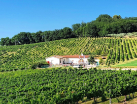 Sagrantino - La Veneranda, Montefalco, Umbrie