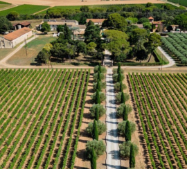 Mourvedre, Marselan - Les Duos de Beaubois,  Chateau Beaubois, Nimes, Rhone Zuid.