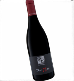 Spatburgunder -  Pur Pinot, Ahr, Weingut Paul Schumacher