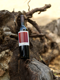 Tempranillo, Graciano, Cabernet Sauvignon - Cala2 Tinedo, La Mancha - bio