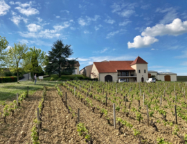 Sauvignon Blanc - Pouilly Fume, Domaine la Villaudiere, familie Reverdy