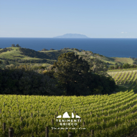 Falanghina - I Costali, Cantine Tenimenti Grieco,  Molise