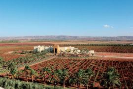 Cabernet Sauvignon, Merlot - Excellence de Bonassia, Celliers de Meknes, Marokko