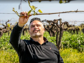Trebbiano -  Altopiano, Terre d'Abruzzo Bianco, Cantine Tollo,
