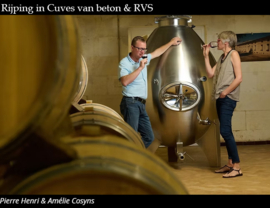 Sauvignon Blanc - Atlantique, Chateau Grand Launay - Pierre-Henri Cosyns, Bordeaux