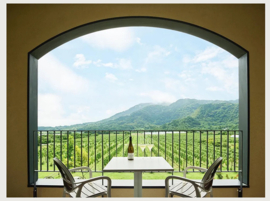 Pinot Noir -  Cave d'Occi, Japan