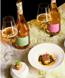 Darjeeling Tea - Saicho Darjeeling Sparkling Tea, Engeland