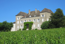 Chardonnay -Les Ronzettes Macon-La Roche-Vineuse   - Bourgogne - Chateau de la Greffiere