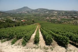 Chardonnay, Malagouzia - Stone Hills, Palivou Estate-Nemea, Griekenland