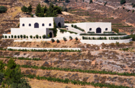 Cabernet Franc, Cabernet Sauvignon, Syrah - Grand Vin, Domaine de Baal, Libanon