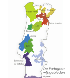 Touriga Nacional - Tinto Reserva, Evidência, Dao,  Parras Wines
