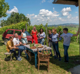 Barbera  - Fisetta Barbera d'Alba, Ciabot Berton - Piemonte