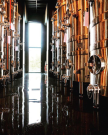 Chardonnay - Le Croisette - single vineyard,  Bio 2015 - Champagne  Leclerc Briant - vatgerijpt