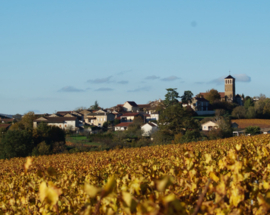 Chardonnay -  Virre Clesse, Bourgogne, Domaine Du Mont Epin