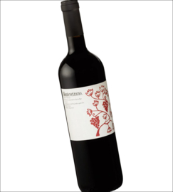 Cabernet Sauvignon, Aglianico, Merlot -  Montevetrano 2015, Silvia Imparato