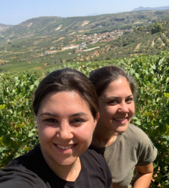 Agiorgitiko - Nemea, Palivou Estate, Peloponnesos, Griekenland