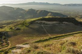 Kotsifali, Cabernet Sauvignon - Domaine Zacharioudakis, Kreta, Griekenland