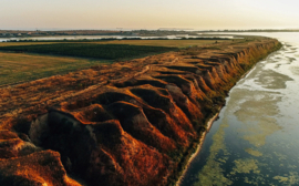 Pinotage - Beykush Winery, Oekraine