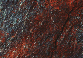 Gamay -  Cru Brouilly, Maison J. Thorin, Beaujolais