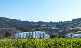 Assyrtiko  - Cuvee Evdemon,  Argyros, Santorini, Griekenland