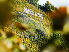 Riesling - Clemens Busch,  Mosel Gutswein Trocken