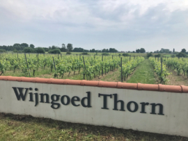 Pinot Gris - Late Harvest Wijngoed Thorn - Maasvallei - Nederland