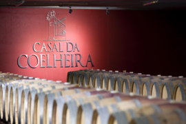 Fernao Pires - Private Collection, Casal da Coelheira, Tejo, Portugal