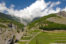 Chasselas - Les Terrasses, Fendant de Vetroz - Jean René Germanier - Zwitserland