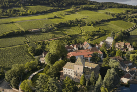 Pinot Noir - Mercurey, Vieilles Vignes, Domaine Philippe Le Hardi, Bourgogne
