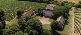 Sauvignon Blanc - Pouilly Fumé, Chateau Favray