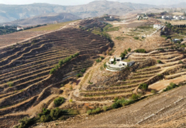 Syrah, Merlot - Petit Baal, Domaine de Baal, Libanon