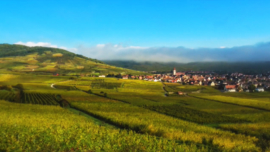 Cremant d'Alsace - Brut Methode Traditionelle - Henri Ehrhart