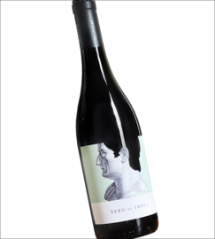 Nero di Troia -  Cantine Teanum, Puglia