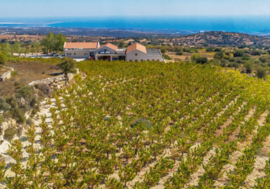 Mataro, Maratheftiko - rose,  wijnhuis Yiaskouris, Pachna, Limassol, Cyprus