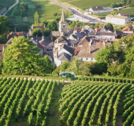 Chardonnay -  Pernand Vergelesses, Domaine Pierre Meurgey