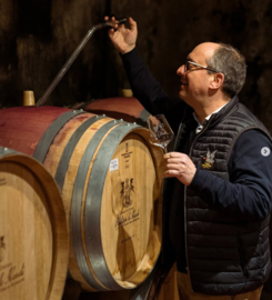 Pinot Noir - Mercurey, Vieilles Vignes, Domaine Philippe Le Hardi, Bourgogne