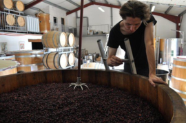 Pinot Noir -   Le Presidente - Bourgogne, Sylvain Loichet