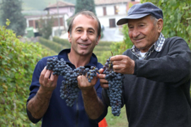 Nebbiolo - Barolo  Cru Ginestra,  Paolo Conterno, Monforte d'Alba