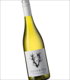 Trebbiano, Sauvignon Blanc  - Spinalba -  Venea Vini Abruzzen