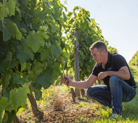 Tannat -  Maubet, Maison Fontan, Gascogne