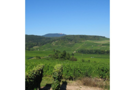 Pinot Gris, Pinot Blanc, Riesling + 9 anderen - Complantation, Marcel Deiss, Elzas