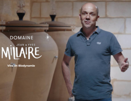 Merlot, Cabernet Franc - Bordeaux, Fronsac, Domaine Jean-Yves Millaire