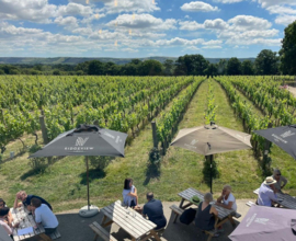 Pinot Noir, Pinot Meunier, Chardonnay-  Cavendish, Ridgeview, Sparkling, Engeland