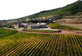 Olijfolie -  Arbequina, Virgen Extra, 500ml,  Campos Monjardin