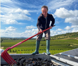 Pinot Noir - Givry 1 er Cru, Thenard, Bourgogne