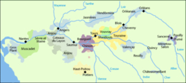 Sauvignon Blanc, Chardonnay - Cheverny, Vallee des Rois, Oisly et Thesee, Loire