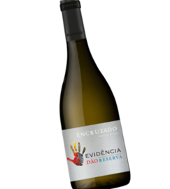 Encruzado - Branco Reserva, vatgerijpt, Evidência, Dao, Parras Wines