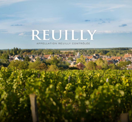 Sauvignon - Reuilly - Les Fossiles - Denis Jamain, Loire