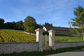 Pinot Noir  - 1e Cru Bourgogne Rully Les Cloux - Domaine Jacqueson