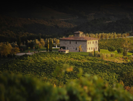 Sangiovese, Merlot, Cabernet Sauvignon - Villa Barbi Rosso,  Decugnano dei Barbi, Orvieto, Umbrie